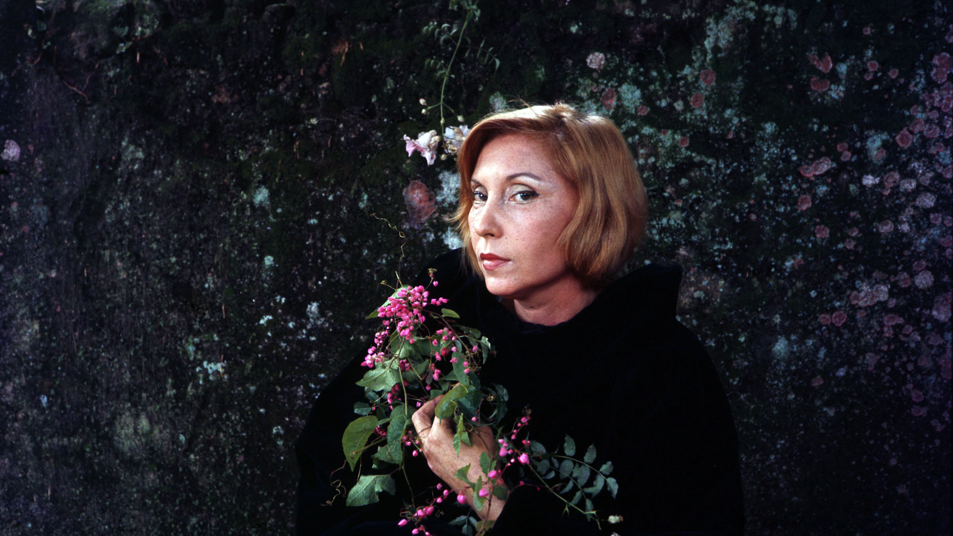 Hora de Clarice - Instituto Moreira Salles