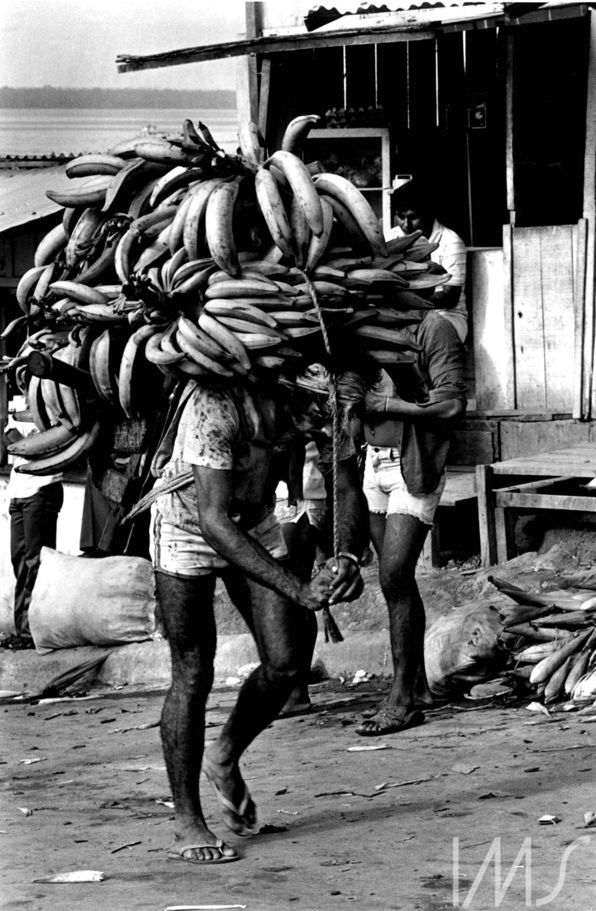 Carregador de Bananas. Brasil, 1981. Foto de Madalena Schwartz/Acervo IMS