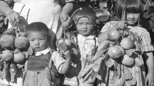 CORTE. Kô e filhos desfrutando uma farta safra de caquis, chácara Arara, Londrina-PR, 1948 circa. Foto de Haruo Ohara/ Acervo Instituto Moreira Salles.