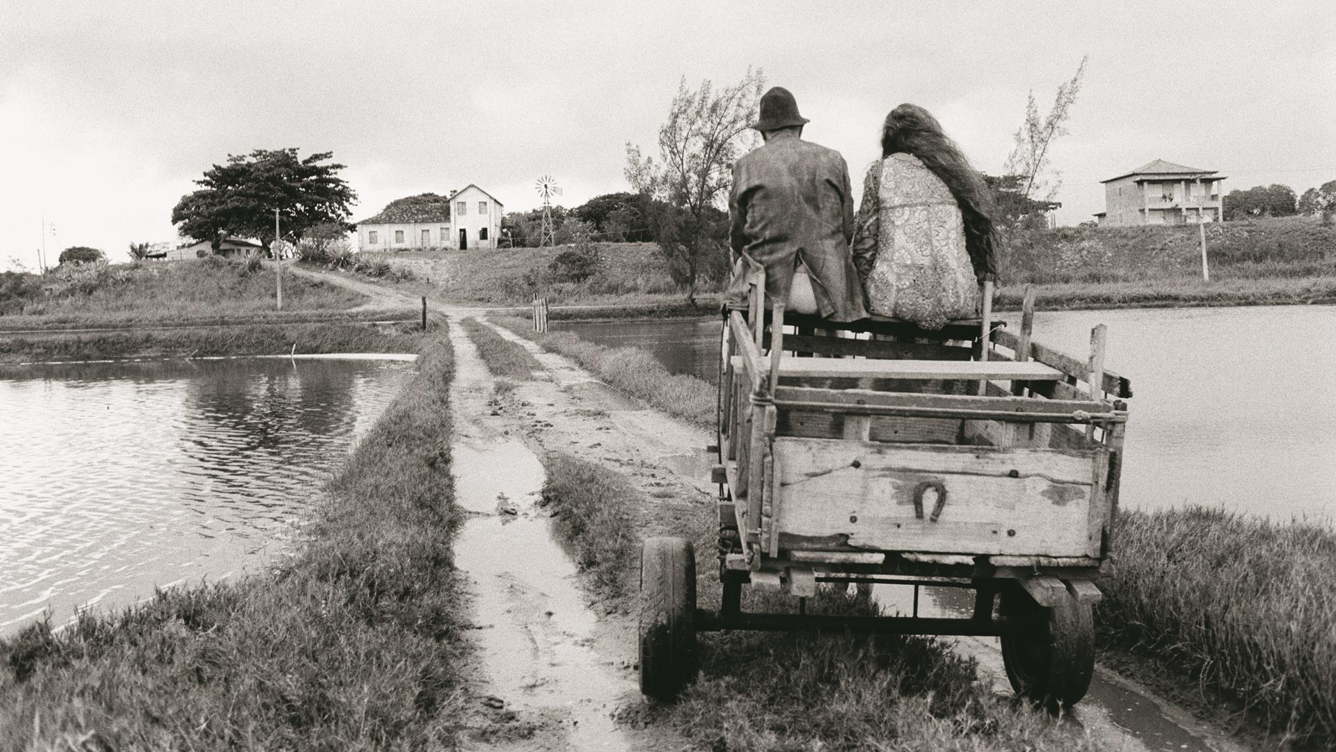 Sudoeste Instituto Moreira Salles