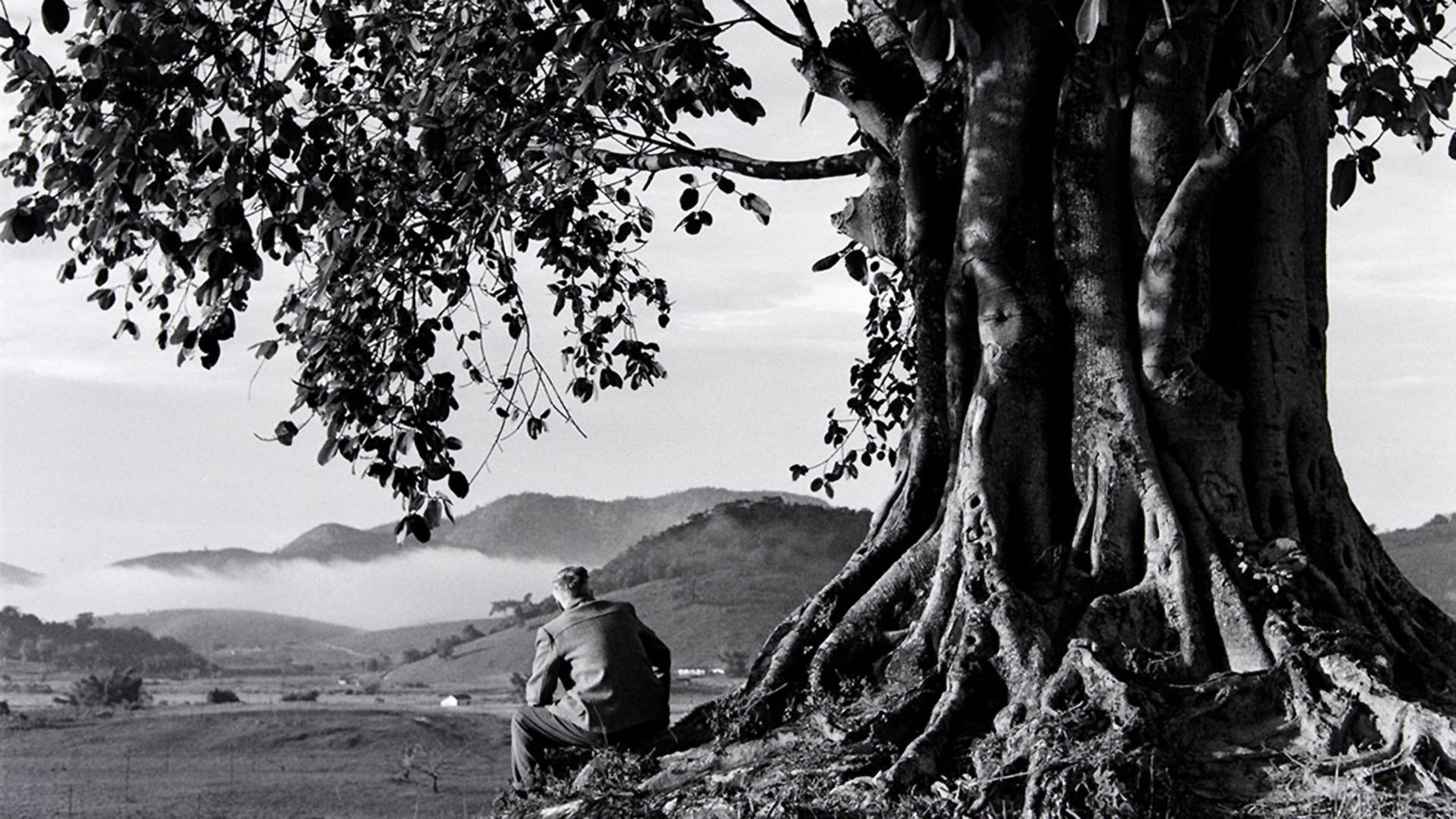 Cena de Humberto Mauro, de André di Mauro”.