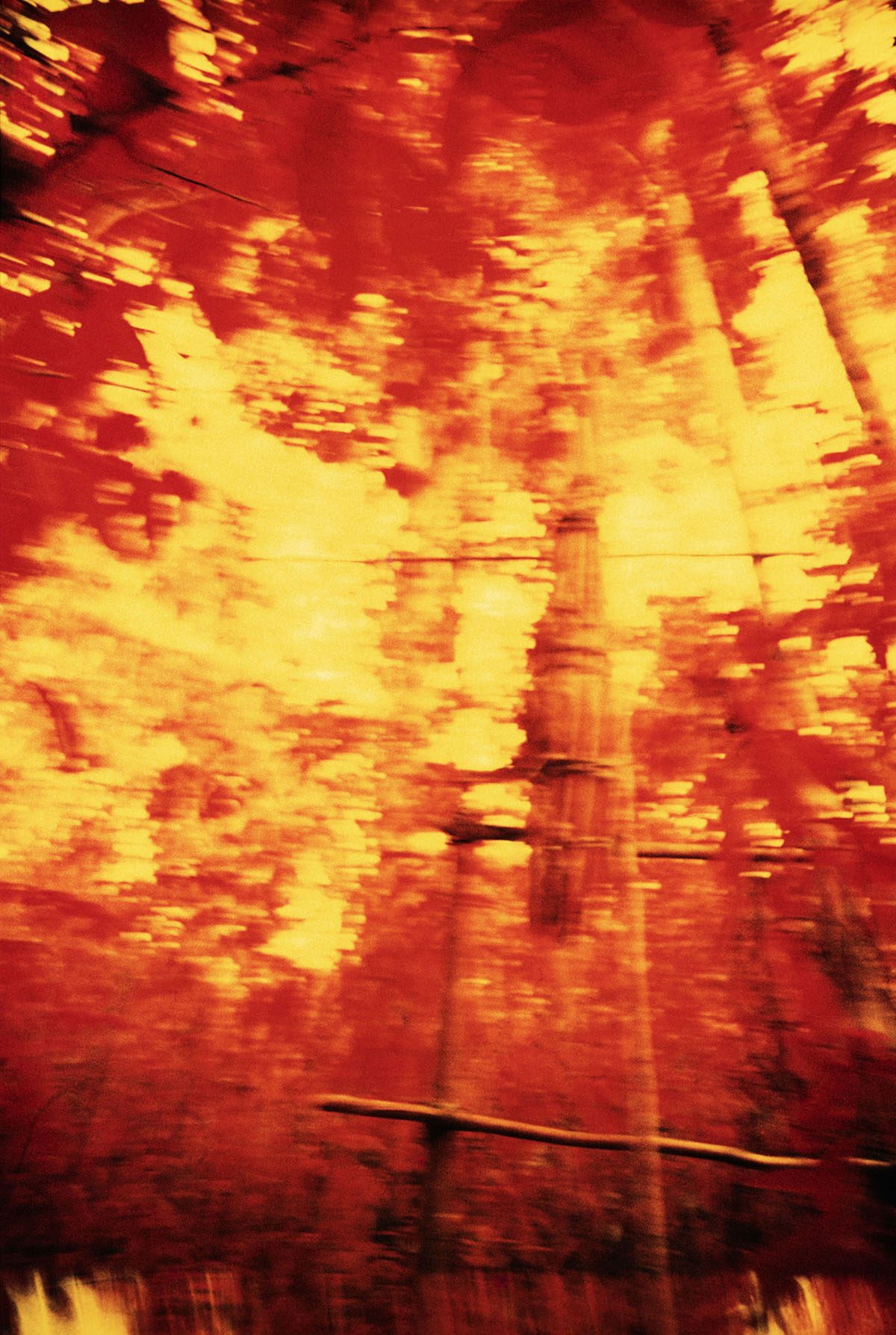 Cesto funerário, filme infravermelho, Catrimani, Roraima, 1976. Foto  © Claudia Andujar