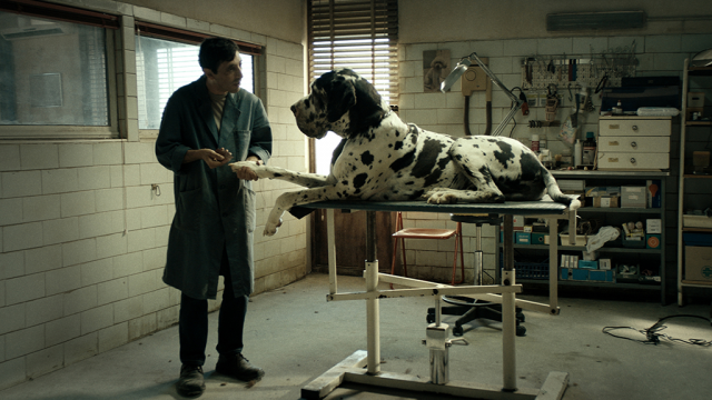Cena do filme Dogman, de Matteo Garrone.
