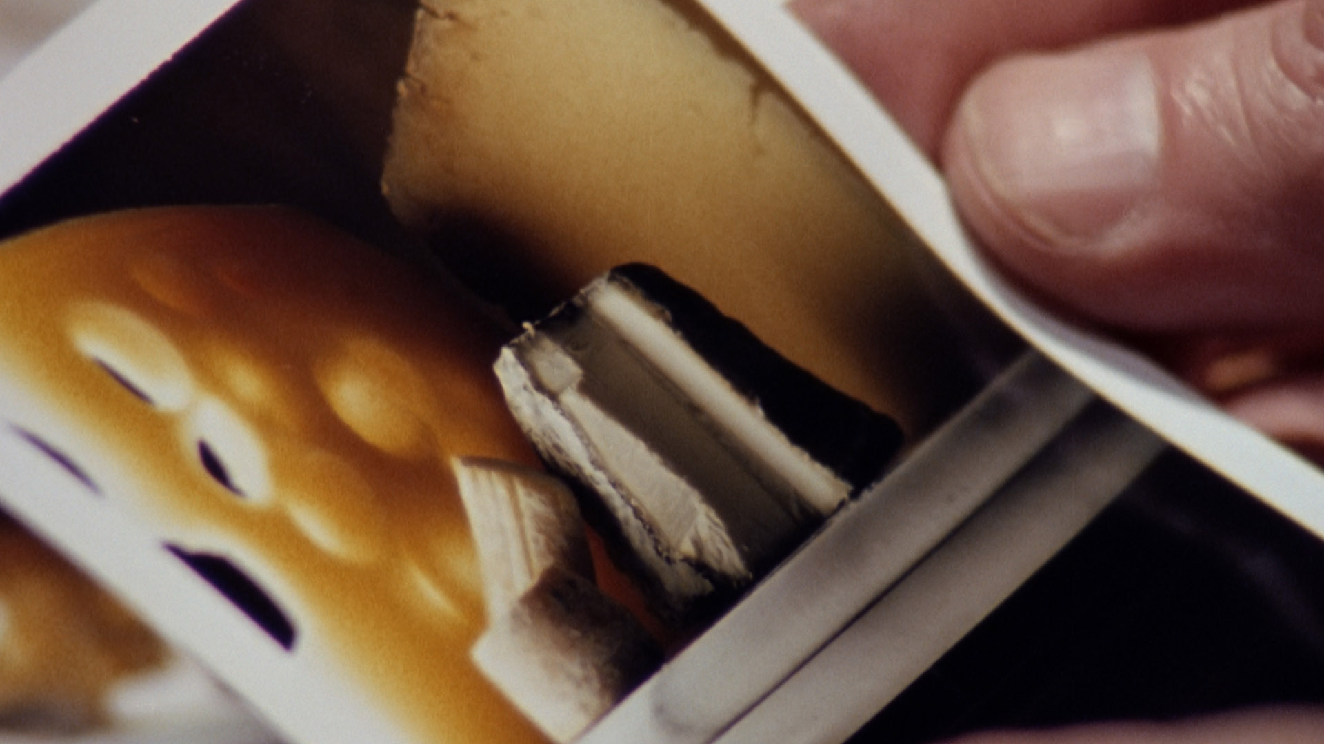 Mão segurando imagem