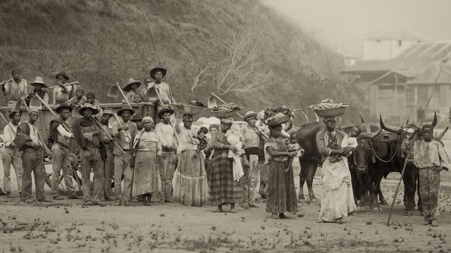 Grande grupo de africanos escravizados posando para a foto no campo. Alguns carregam enxadas e outras ferramentas de trabalho, algumas mulheres carregam crianças nos braços e vasilhas na na cabeça. Atrás do grupo há uma carroça puxada por bois que aparecem no lado direito da imagem.