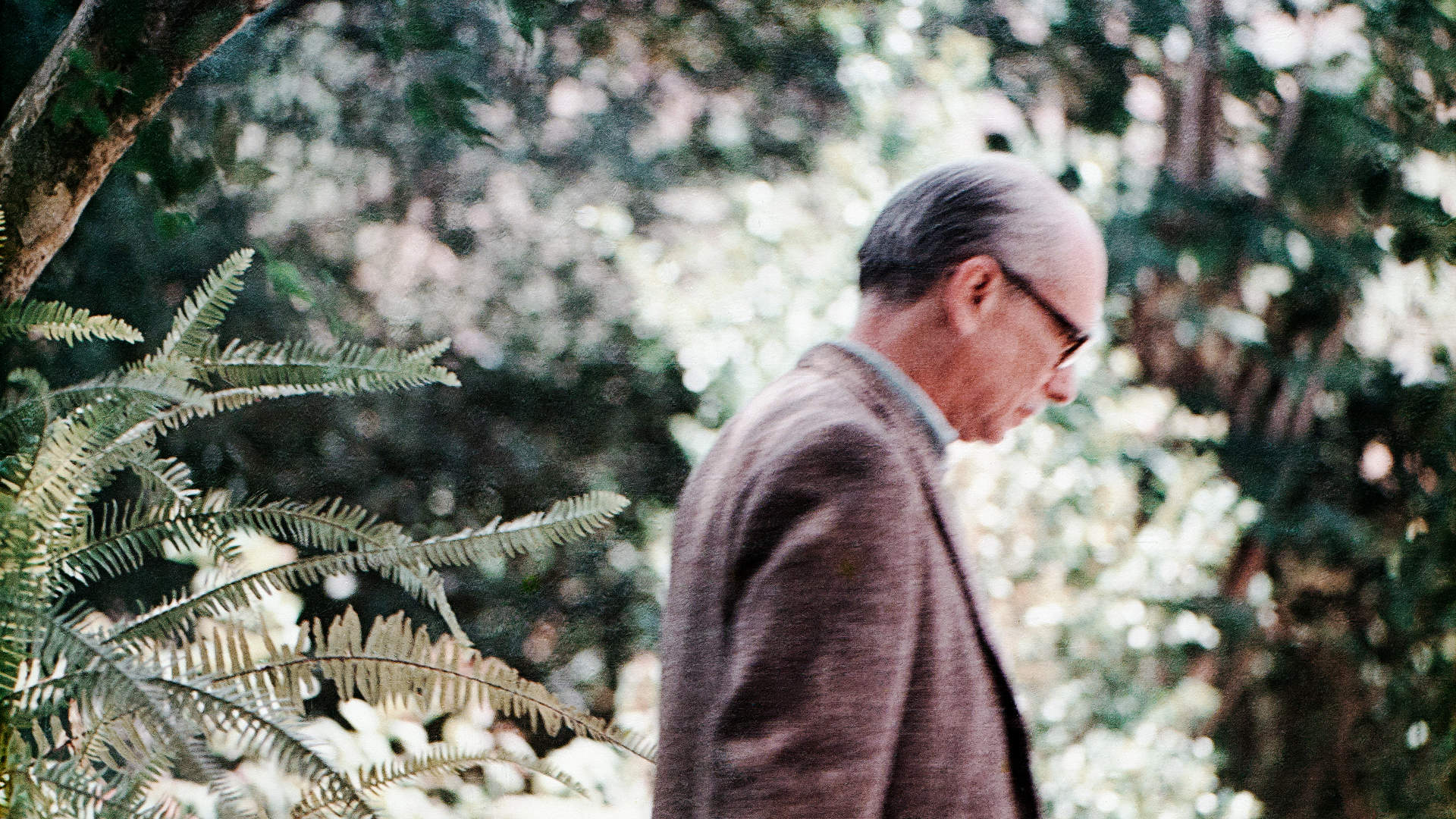 Antonio Candido no jardim da casa em Poços de Caldas, década de 1970. / Arquivo do IEB-USP