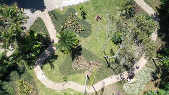 Vista aérea do jardim do IMS Rio (outubro de 2019)