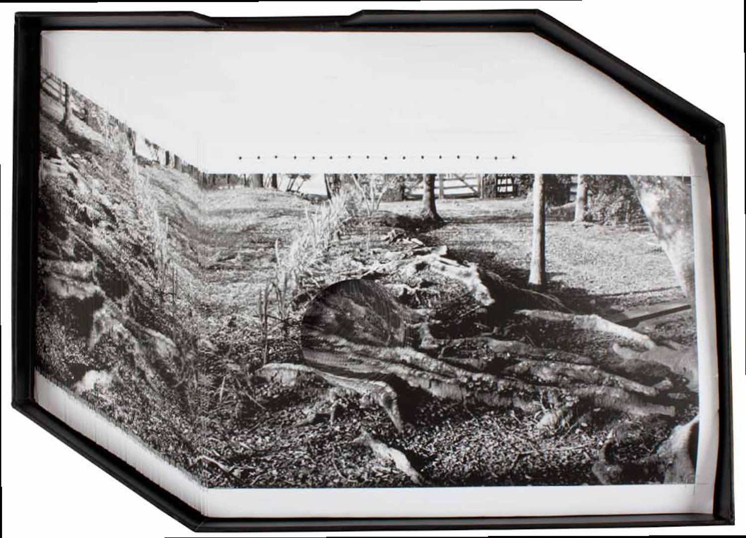 Raízes, de Lucia Mindlin Loeb, 2008. Sulfite impresso e costurado em caixa de papelão forrado, 29 x 40 x 3,5 cm. Coleção de Fotografia Contemporânea / Acervo IMS  