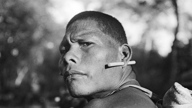 [CORTE] Indígena xavante, 1949. Serra do Roncador, MT. Foto de José Medeiros / Acervo IMS