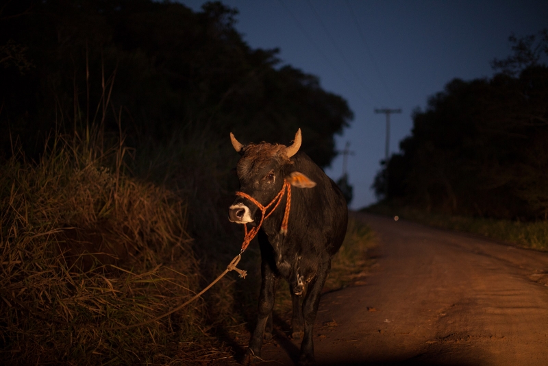 Sem título, Garapa, 2014. Impressão em pigmento mineral sobre papel algodão, 30 x 42 cm. Projeto Offside Brazil.  Coleção de Fotografia Contemporânea/ IMS