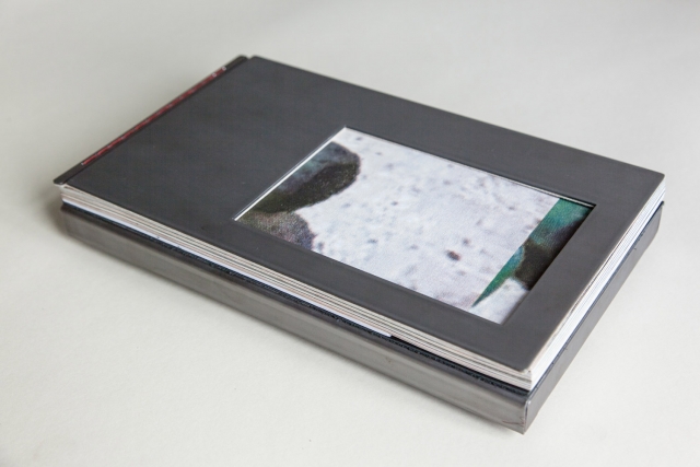 Postais para Charles Lynch, Garapa, 2015. Livro com capa de aço carbono, lixado com proteção de verniz e miolo formado por serigrafias, 16 x 28 cm. 