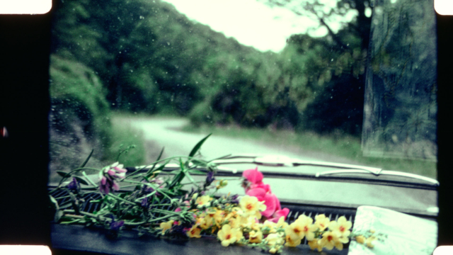 Cena de Ao caminhar entrevi lampejos de beleza, de Jonas Mekas