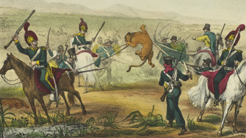 [CORTE] Chasse au tigre, dans la plaine. 1835.  Desenho de Thierry Frères, a p[artir de Jean-Baptiste Debret. Acervo Biblioteca Nacional