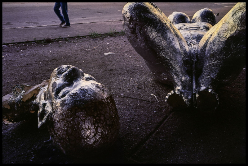 Maldicidade #3, anos 1970 - 1990. 69 x 103 cm. Coleção Miguel Rio Branco / Acervo IMS 