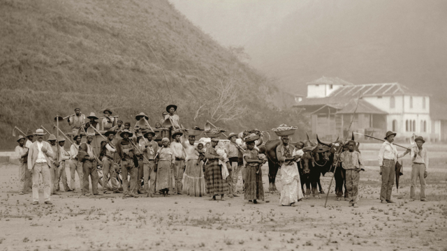Escravizados em fazenda de café. Vale do Paraíba, RJ, c. 1882. Detalhe de foto de Marc Ferrez. Coleção Gilberto Ferrez/ Acervo IMS