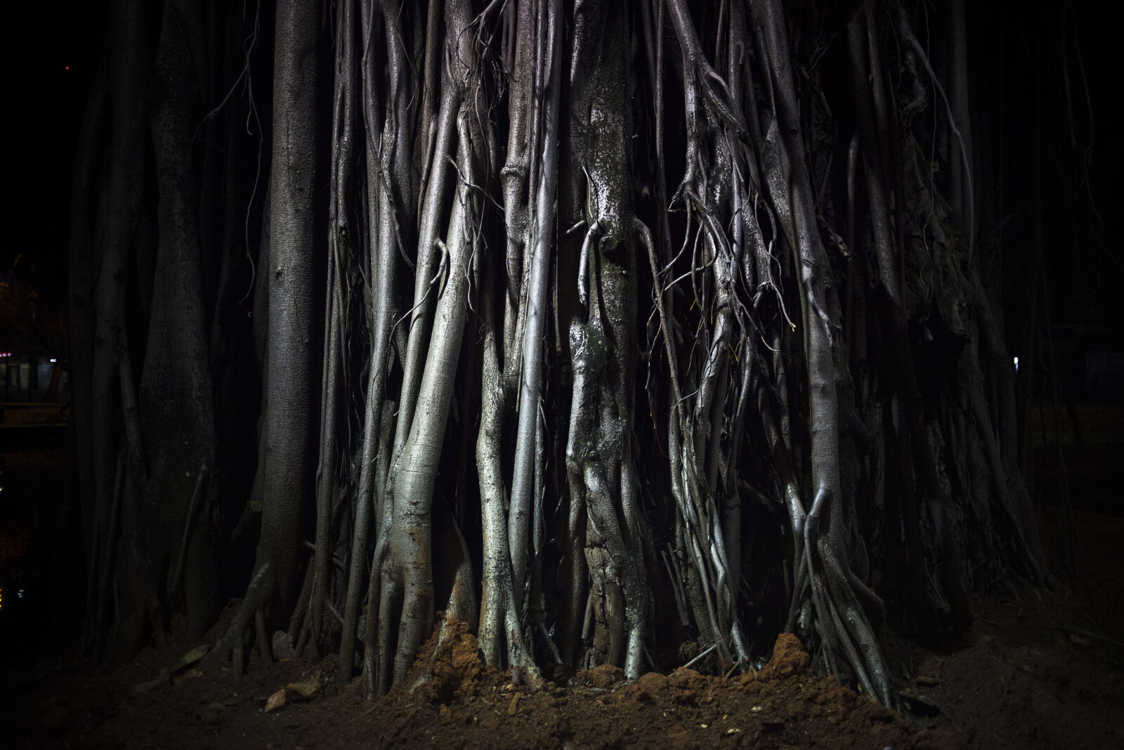 República, São Paulo, 2014, da série Offside Brazil. 30 x 42 cm. Foto de Breno Rotatori. Coleção de Arte Contemporânea / Acervo IMS  