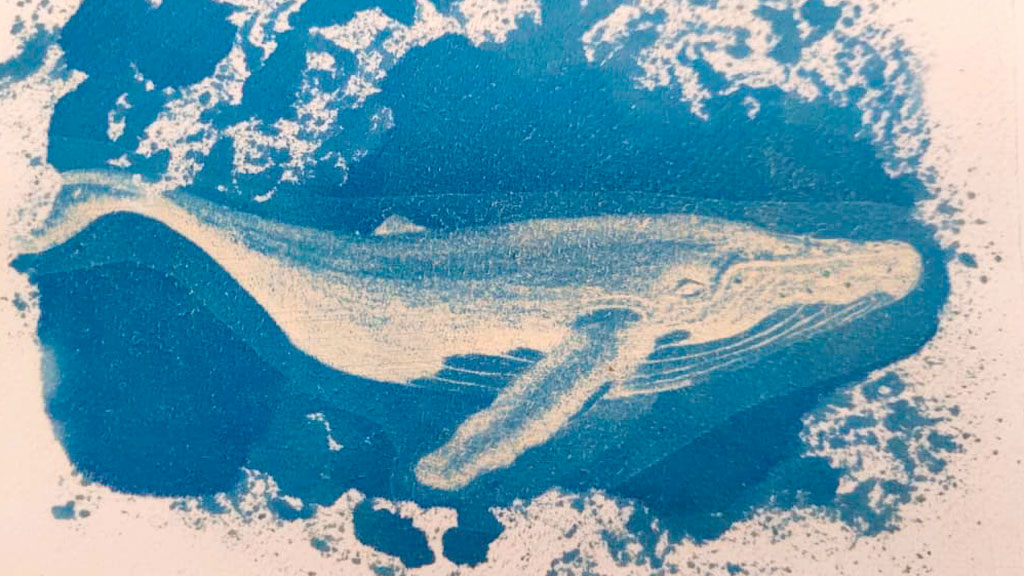 Baleia feita com a técnica cianotipia. Obra Equipe do IMS