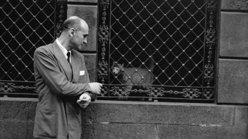 Boris Kochno (t&iacute;tulo atribu&iacute;do), Rio de Janeiro-RJ, circa 1946. Foto de Thomaz Farkas/ Acervo Instituto Moreira Salles.