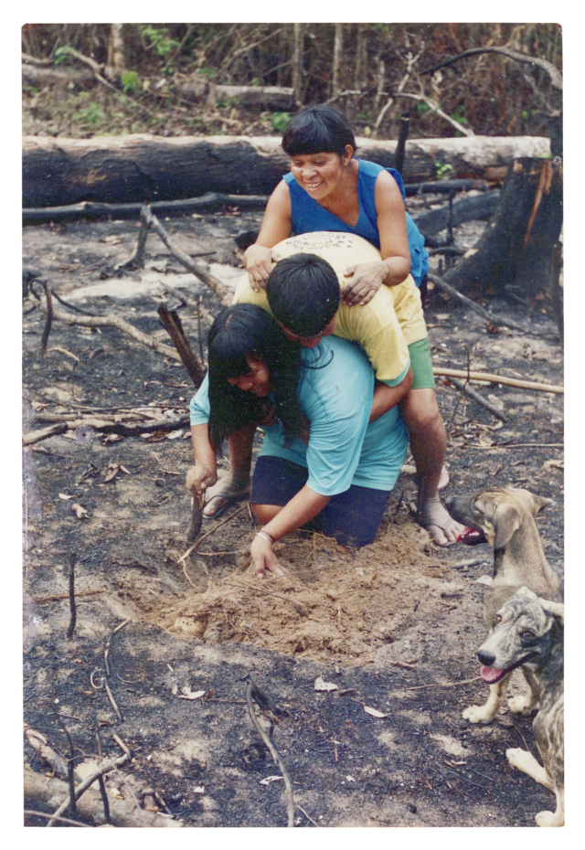 Kabena Cinta Larga, Agamenon Suru&iacute; e Elza Suru&iacute;, Aldeia Lapetanha, c. 2010f Durante o preparo da ro&ccedil;a de car&aacute;, batata e outros alimentos, os Paiter praticam um ritual em que sobem sobre a pessoa que ir&aacute; plantar, simbolizando a inten&ccedil;&atilde;o de obter uma colheita mais farta. Al&eacute;m disso, seguem restri&ccedil;&otilde;es, como evitar beber &aacute;gua ou tomar banho frio, acreditando que essas pr&aacute;ticas contribuem para a produtividade do plantio. Foto do antrop&oacute;logo C&eacute;dric Yvinec. (Legenda por Coletivo Lakapoy).  Fotografias em pigmento mineral sobre papel de algod&atilde;o impressas em 2025. 42 x 60,1 cm. Cole&ccedil;&atilde;o de Arte Contempor&acirc;nea / Acervo IMS 