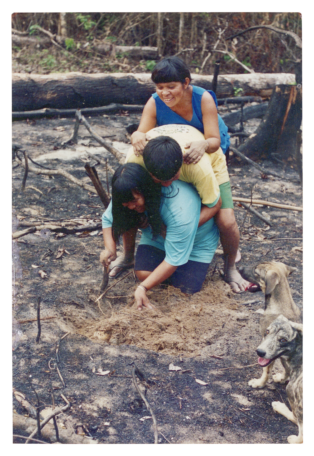 Kabena Cinta Larga, Agamenon Suru&iacute; e Elza Suru&iacute;, Aldeia Lapetanha, c. 2010f Durante o preparo da ro&ccedil;a de car&aacute;, batata e outros alimentos, os Paiter praticam um ritual em que sobem sobre a pessoa que ir&aacute; plantar, simbolizando a inten&ccedil;&atilde;o de obter uma colheita mais farta. Al&eacute;m disso, seguem restri&ccedil;&otilde;es, como evitar beber &aacute;gua ou tomar banho frio, acreditando que essas pr&aacute;ticas contribuem para a produtividade do plantio. Foto do antrop&oacute;logo C&eacute;dric Yvinec. (Legenda por Coletivo Lakapoy).  Fotografias em pigmento mineral sobre papel de algod&atilde;o impressas em 2025. 42 x 60,1 cm. Cole&ccedil;&atilde;o de Arte Contempor&acirc;nea / Acervo IMS 
