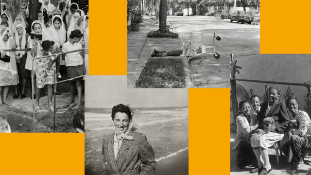 Imagens presentes no caderno de media&ccedil;&atilde;o cultural "Stefania Bril: desobedi&ecirc;ncia pelo afeto"